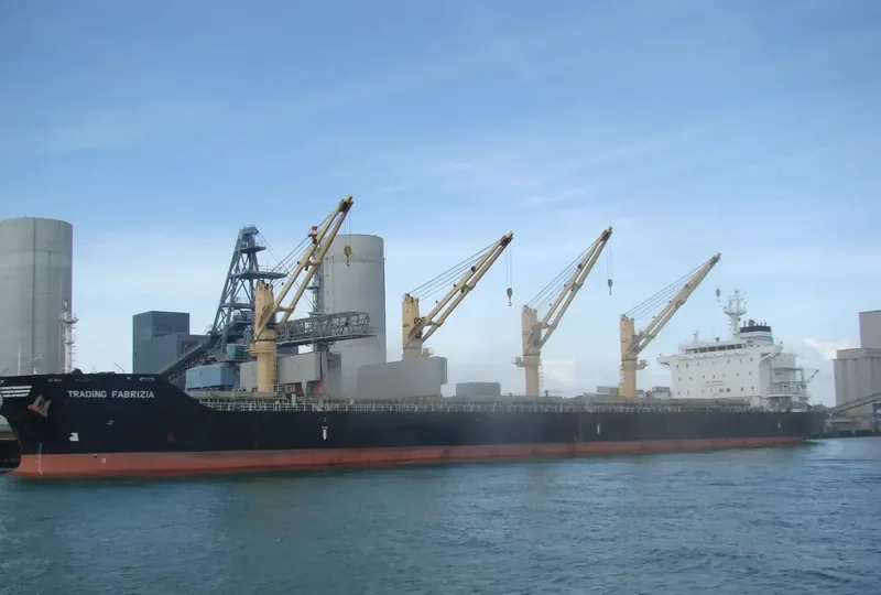 BRIGHT STAR Bulk Carrier IMO 9481960 photo 2