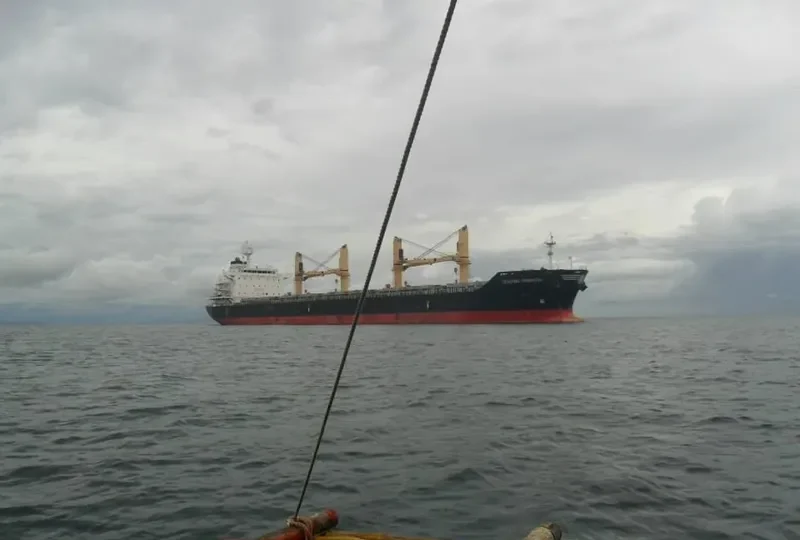 BRIGHT STAR Bulk Carrier IMO 9481960 photo 3