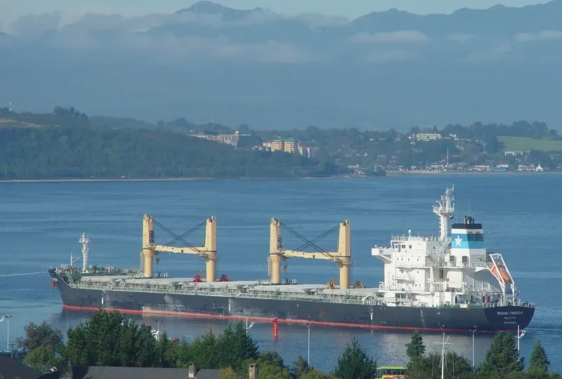 BRIGHT STAR Bulk Carrier IMO 9481960 photo 4
