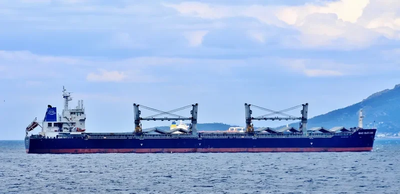 BAO SUCCESS Bulk Carrier IMO 9482029