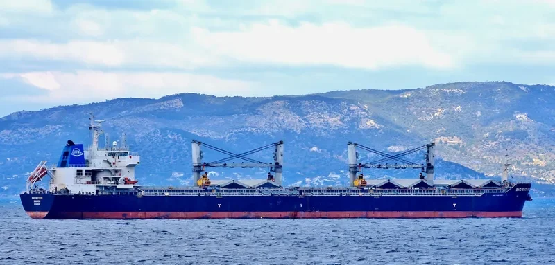 BAO SUCCESS Bulk Carrier IMO 9482029 photo 2
