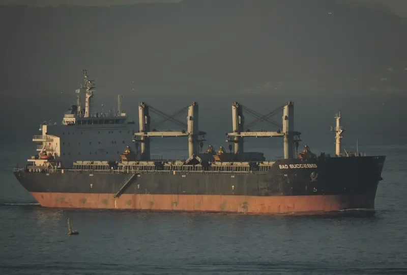 BAO SUCCESS Bulk Carrier IMO 9482029 photo 6