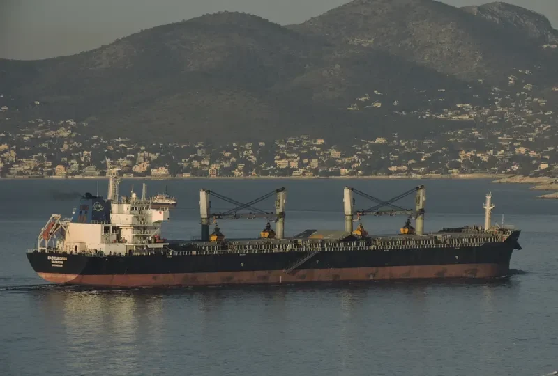 BAO SUCCESS Bulk Carrier IMO 9482029 photo 8