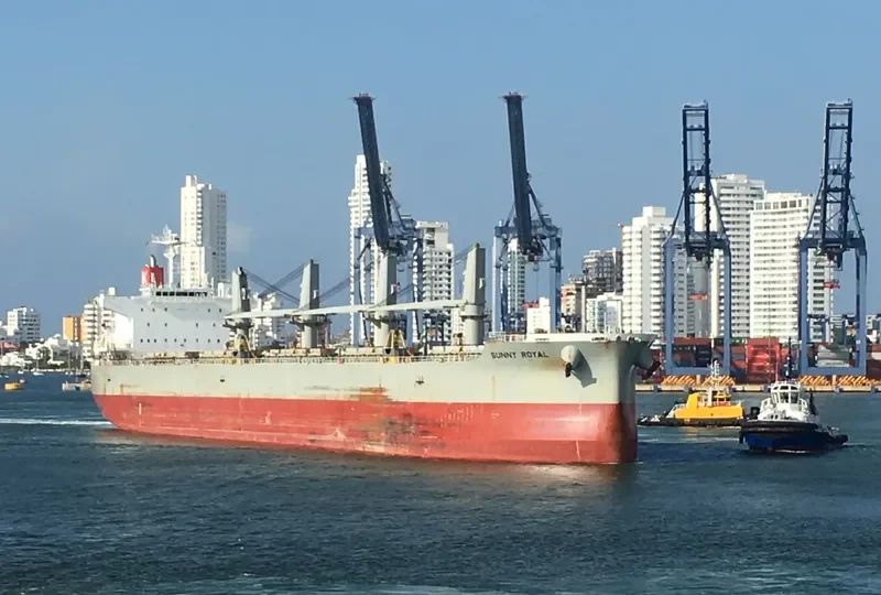 SUNNY ROYAL Bulk Carrier IMO 9482122