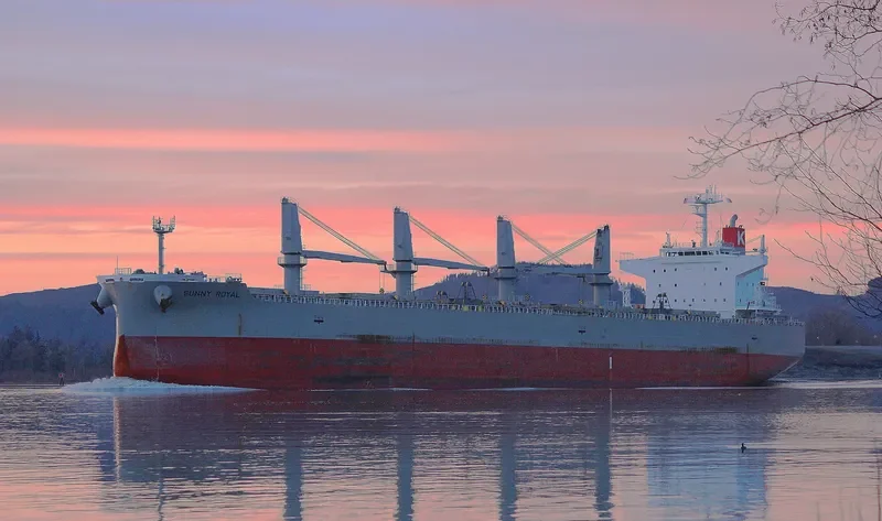 SUNNY ROYAL Bulk Carrier IMO 9482122 photo 3