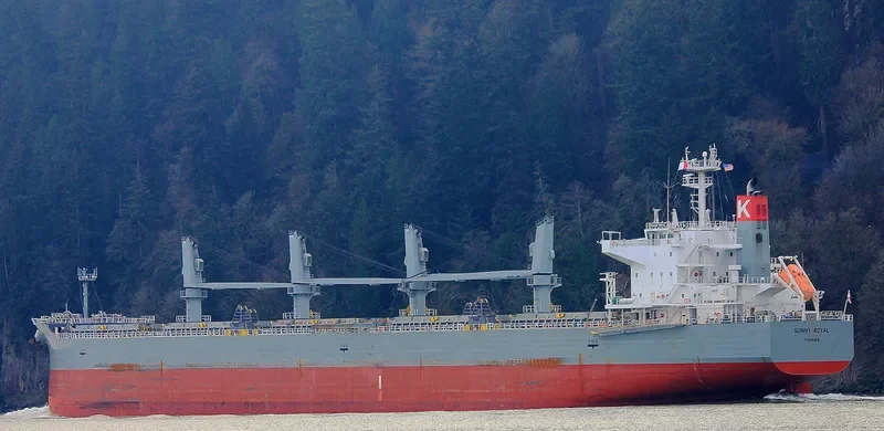 SUNNY ROYAL Bulk Carrier IMO 9482122 photo 4