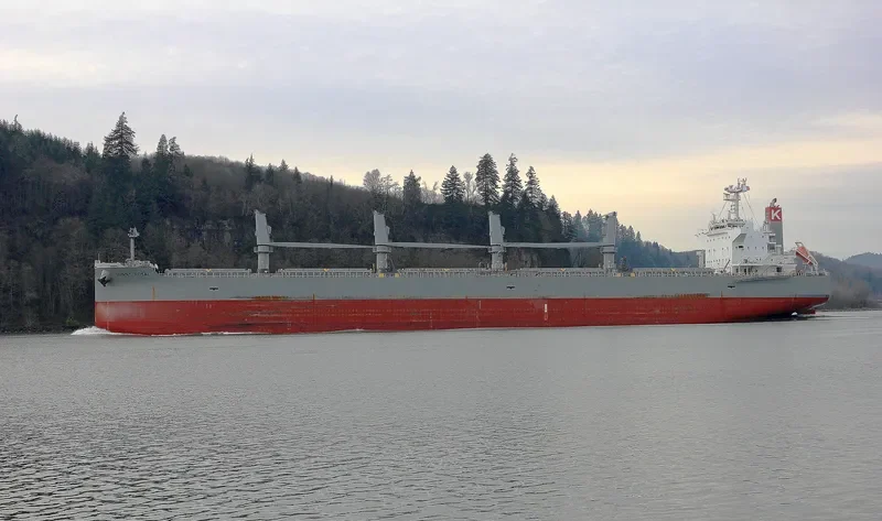 SUNNY ROYAL Bulk Carrier IMO 9482122 photo 6