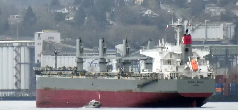 SUNNY ROYAL Bulk Carrier IMO 9482122 photo 7