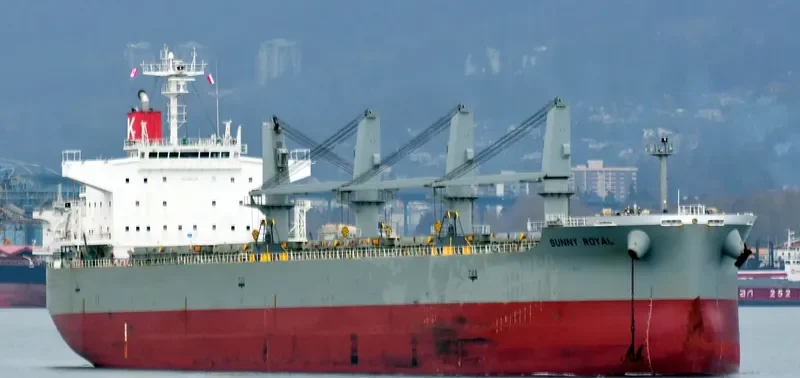 SUNNY ROYAL Bulk Carrier IMO 9482122 photo 8