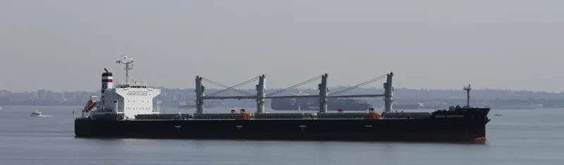 ANNA DOROTHEA Bulk Carrier IMO 9482213 photo 6