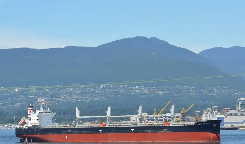 ANNA DOROTHEA Bulk Carrier IMO 9482213 photo 9