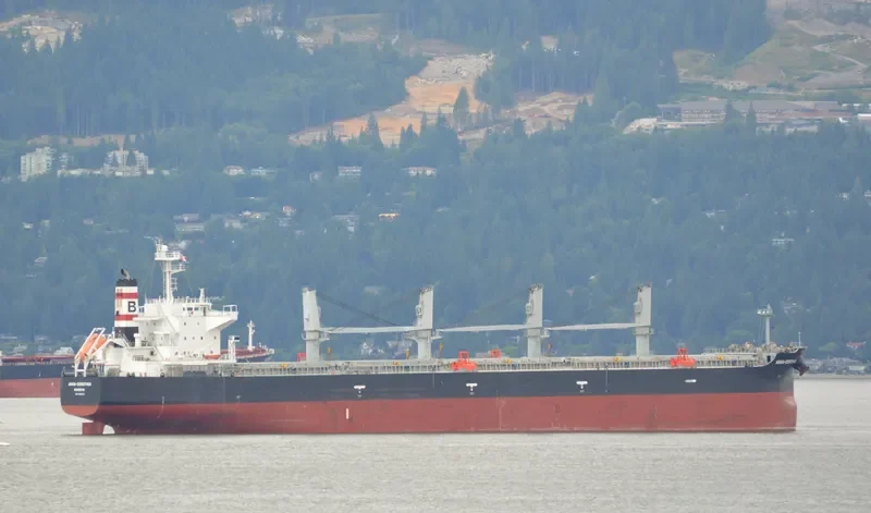 ANNA DOROTHEA Bulk Carrier IMO 9482213 photo 13