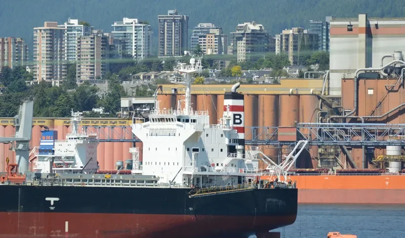 ANNA DOROTHEA Bulk Carrier IMO 9482213 photo 30