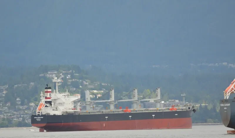 ANNA DOROTHEA Bulk Carrier IMO 9482213 photo 35