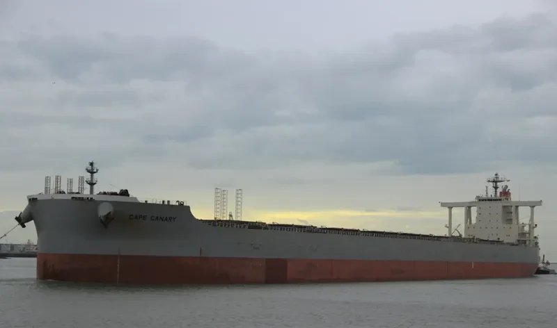 CAPE CANARY Bulk Carrier IMO 9482237 photo 7