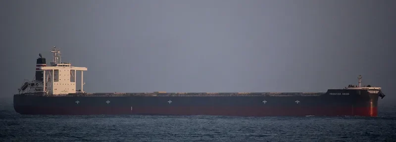 FRONTIER NEIGE Bulk Carrier IMO 9482251 photo 4