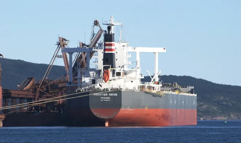 FRONTIER NEIGE Bulk Carrier IMO 9482251 photo 8