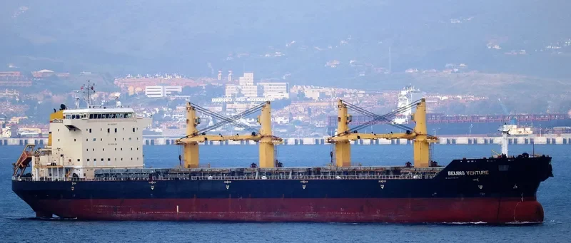 BEIJING VENTURE Bulk Carrier IMO 9482471 photo 2