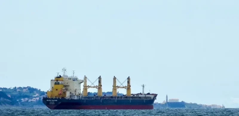 BEIJING VENTURE Bulk Carrier IMO 9482471 photo 3