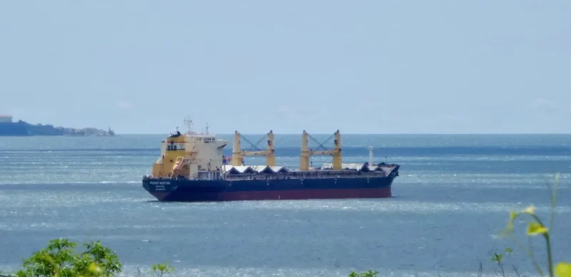 BEIJING VENTURE Bulk Carrier IMO 9482471 photo 4