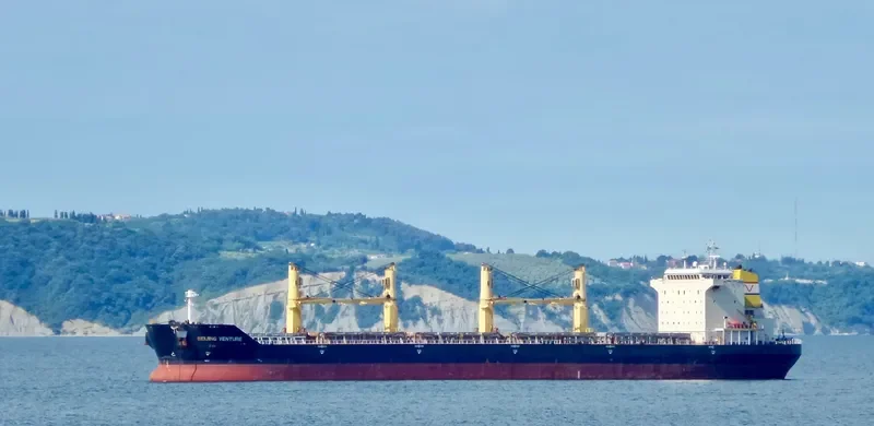 BEIJING VENTURE Bulk Carrier IMO 9482471 photo 5