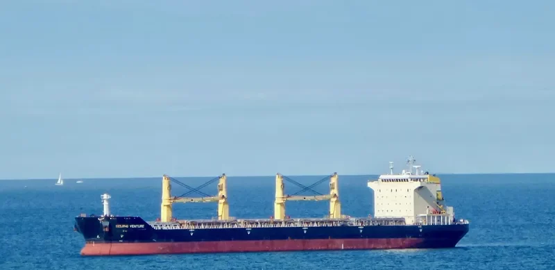 BEIJING VENTURE Bulk Carrier IMO 9482471 photo 6