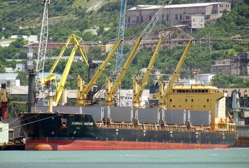FLC FORTUNE Bulk Carrier IMO 9482500