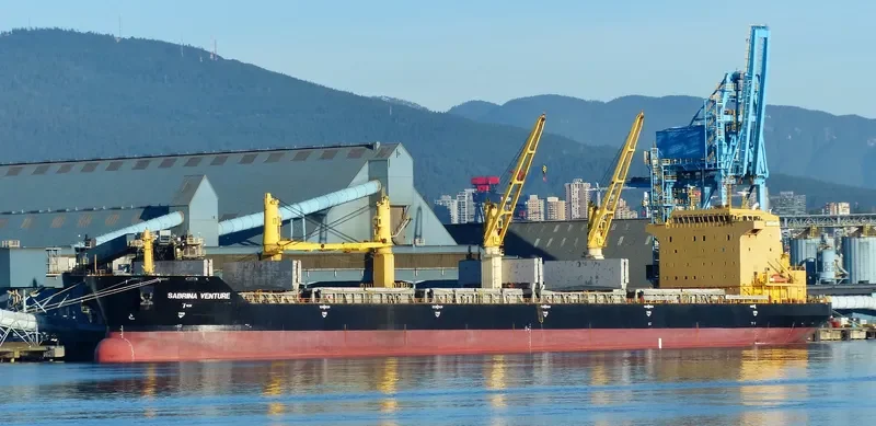 FLC FORTUNE Bulk Carrier IMO 9482500 photo 2