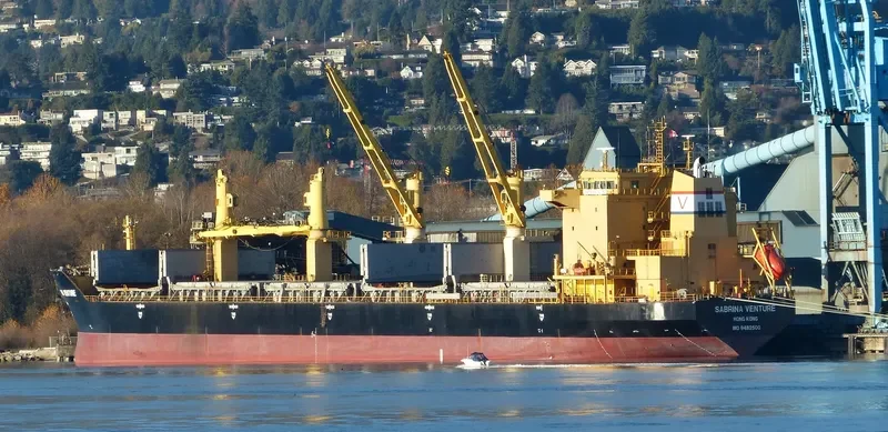 FLC FORTUNE Bulk Carrier IMO 9482500 photo 3