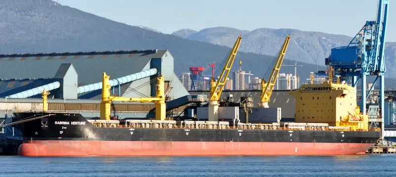 FLC FORTUNE Bulk Carrier IMO 9482500 photo 4