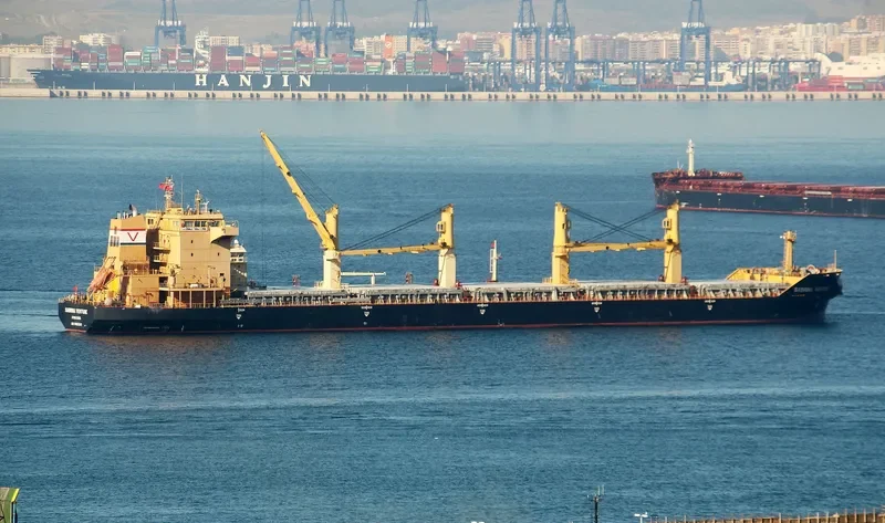 FLC FORTUNE Bulk Carrier IMO 9482500 photo 10