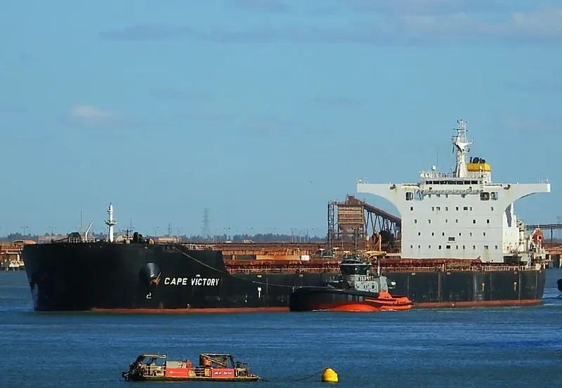 CAPE VICTORY Bulk Carrier IMO 9482524 photo 3