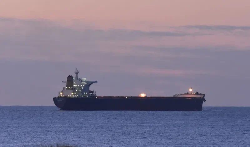CAPE VICTORY Bulk Carrier IMO 9482524 photo 7