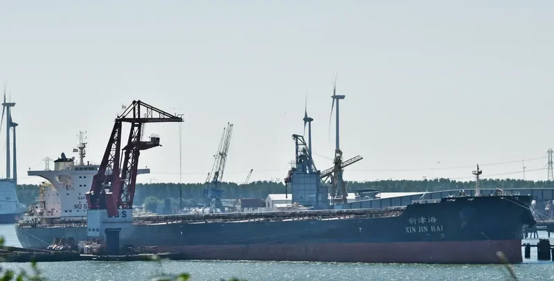 XIN JIN HAI Bulk Carrier IMO 9482677 photo 2