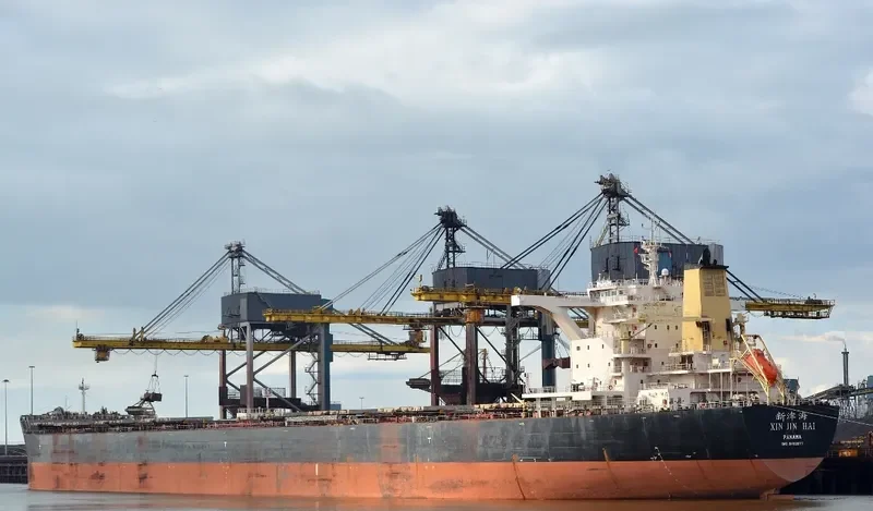 XIN JIN HAI Bulk Carrier IMO 9482677 photo 4