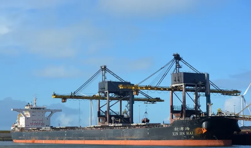 XIN JIN HAI Bulk Carrier IMO 9482677 photo 5