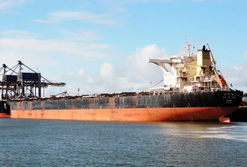 XIN JIN HAI Bulk Carrier IMO 9482677 photo 6