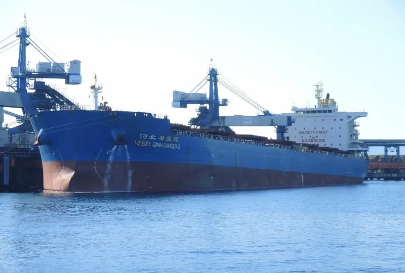 HEBEI QINHUANGDAO Bulk Carrier IMO 9482689