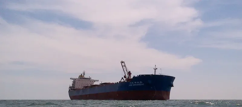 HEBEI QINHUANGDAO Bulk Carrier IMO 9482689 photo 3