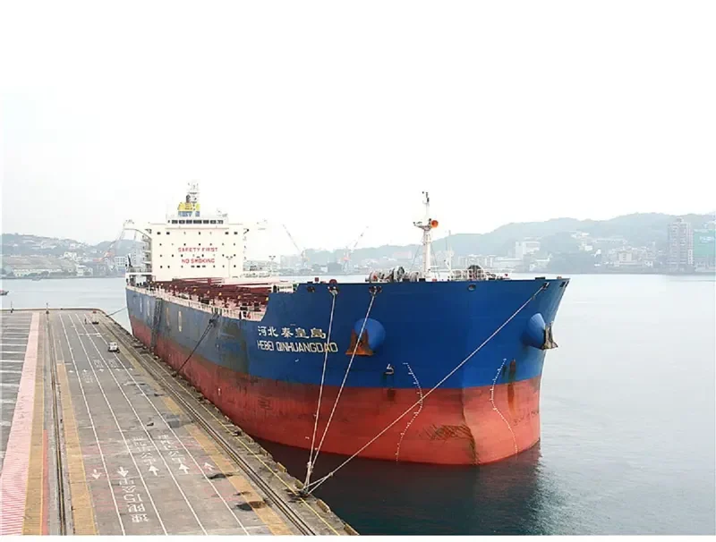 HEBEI QINHUANGDAO Bulk Carrier IMO 9482689 photo 9