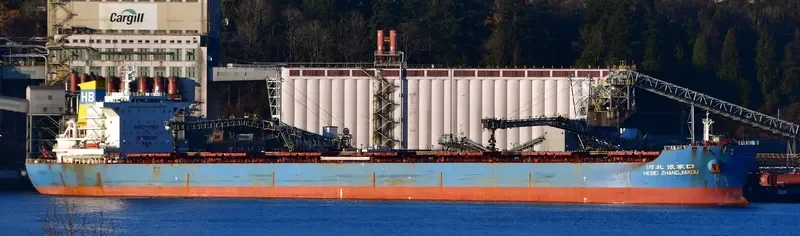 HEBEI ZHANGJIAKOU Bulk Carrier IMO 9482691 photo 6