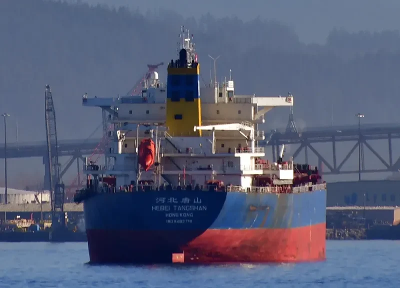 HEBEI TANGSHAN Bulk Carrier IMO 9482718 photo 8