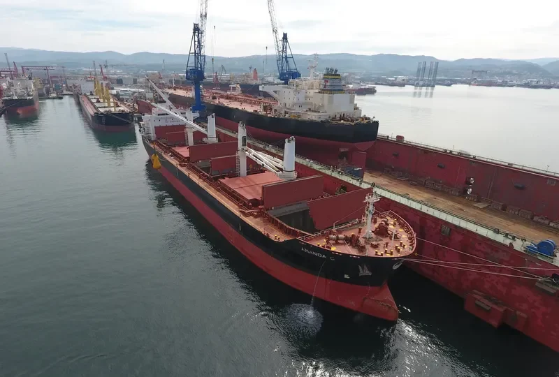 AMANDA C Bulk Carrier IMO 9482782