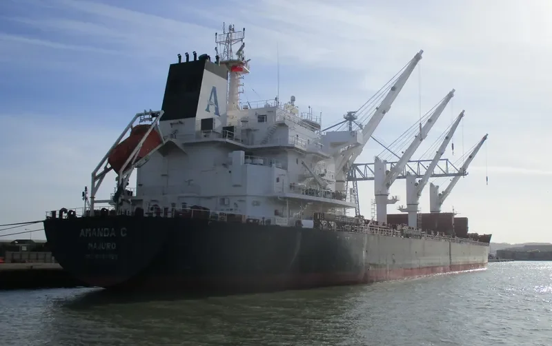 AMANDA C Bulk Carrier IMO 9482782 photo 9