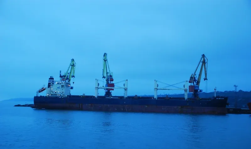 PETERBOROUGH Bulk Carrier IMO 9483188 photo 5