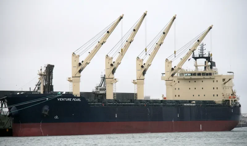 VENTURE PEARL Bulk Carrier IMO 9483279 photo 20
