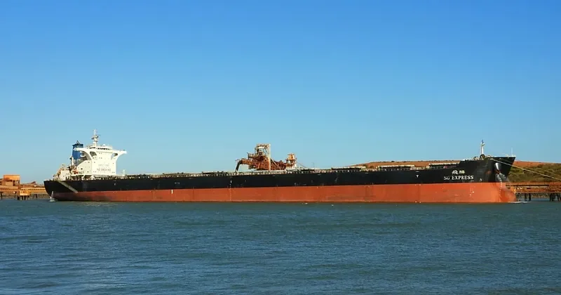 SG EXPRESS Bulk Carrier IMO 9483310 photo 3