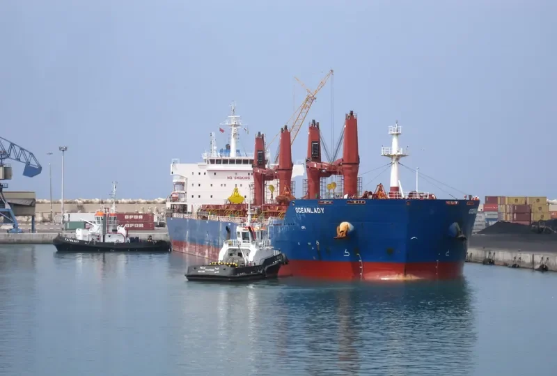 OCEAN LADY Bulk Carrier IMO 9483322 photo 8