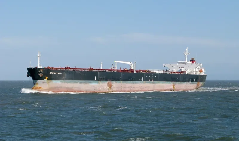 OCEAN LADY Bulk Carrier IMO 9483322 photo 10