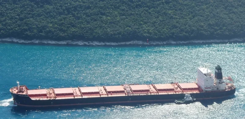 AEOLIAN VISION Bulk Carrier IMO 9483554 photo 3